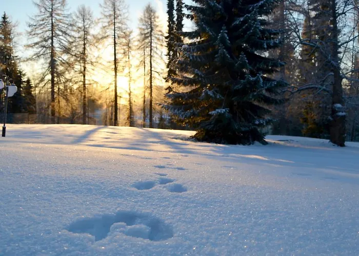 Karolineburg Manor House Hotel 3*